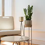 Apartment Tripas-coracao, Sao Bento